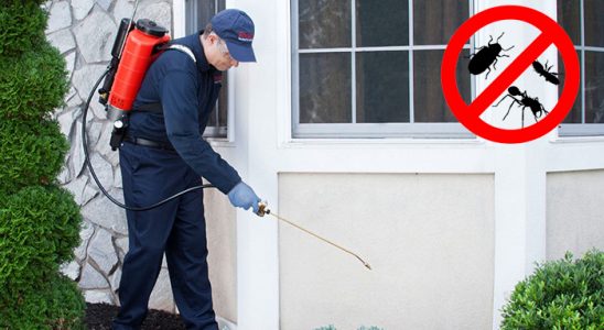 Pursaklar Fare İlaçlama böcek ilaçlama ve haşere kontrolü — ilaclama-tr.com